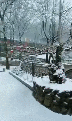 诸暨连发寒潮预警!这些地方还下雪了,明天依然