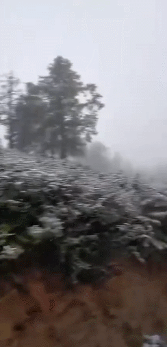 诸暨连发寒潮预警!这些地方还下雪了,明天依然