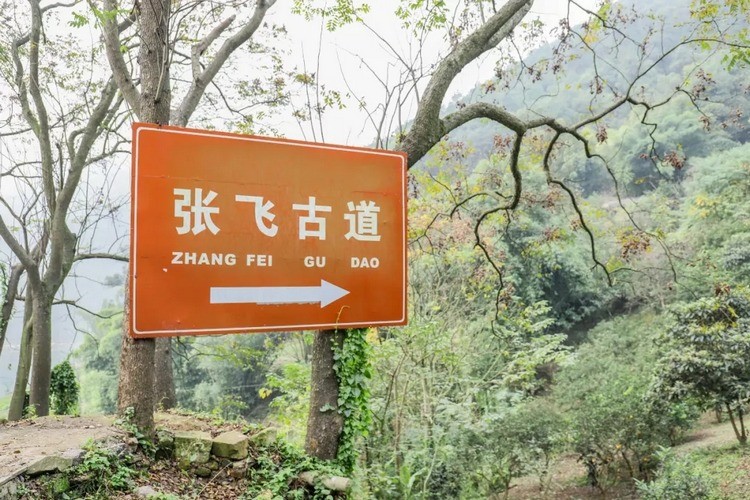 北碚张飞古道,依山傍水,左嘉陵江右山崖,安静得不像话.