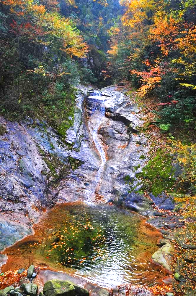 南江县北部光雾山神奇秀丽,有中国红叶第一山的美誉,某剧拍摄地