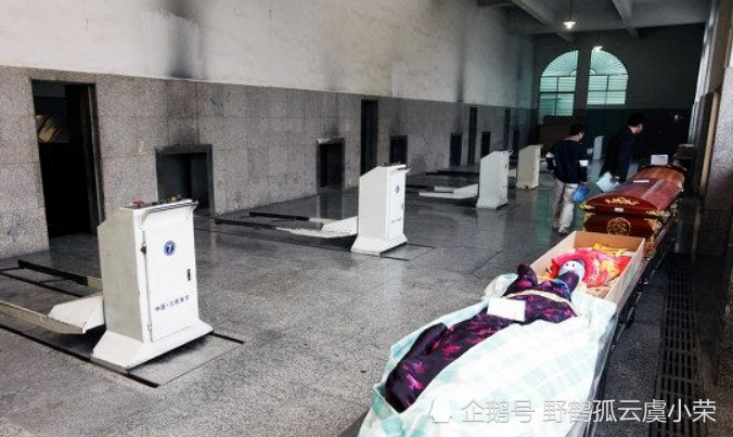 听火化师说完,后背一阵发凉