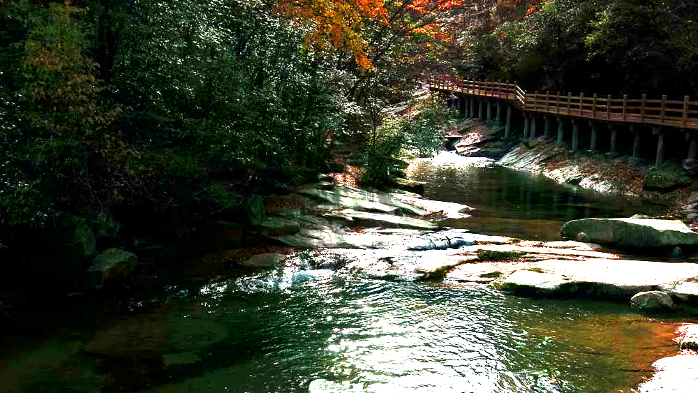 南江县北部光雾山神奇秀丽,有中国红叶第一山的美誉,某剧拍摄地