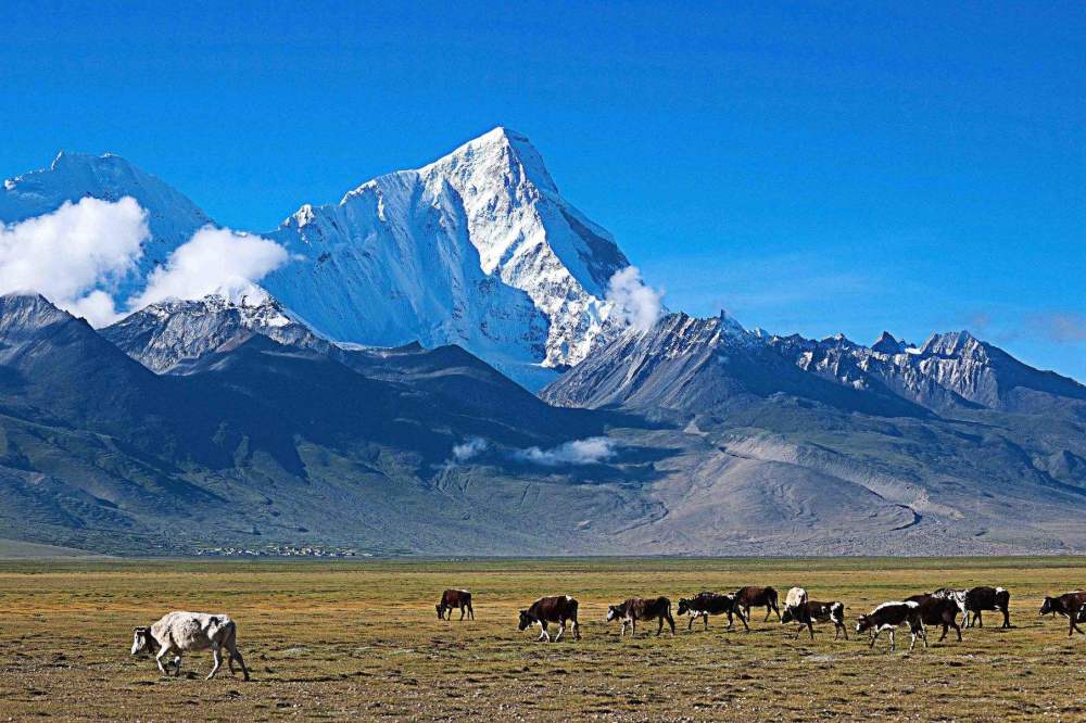 旅游,喜马拉雅山脉,奇闻趣事,科学,历史