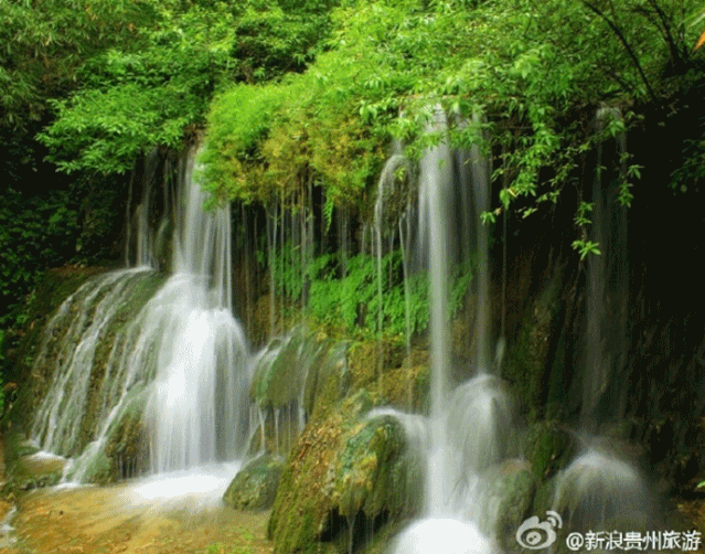 被困的这两个月,贵阳人开始向往走进山野