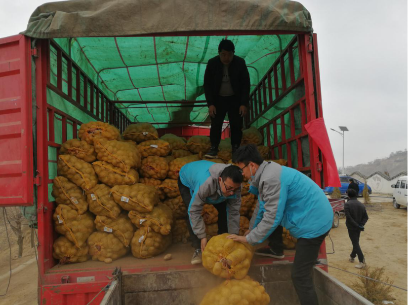 贫困户,东乡县,建档立卡贫困户,马铃薯,精准扶贫,乡村振兴