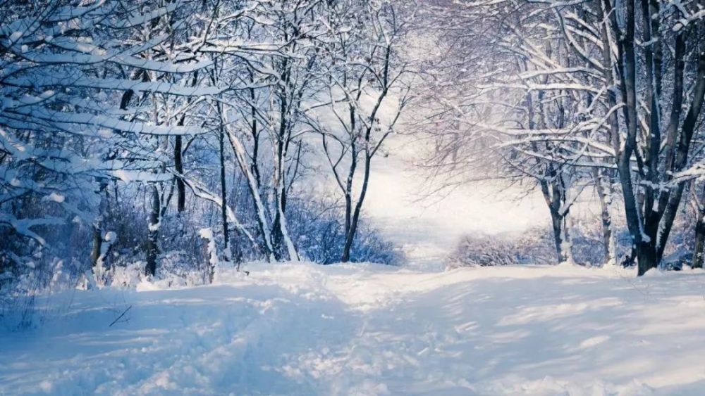 你在北方寒冷的夜晚下雪