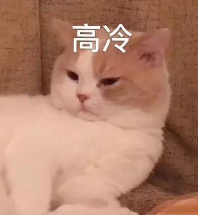 8.19表情包我哭的好大声