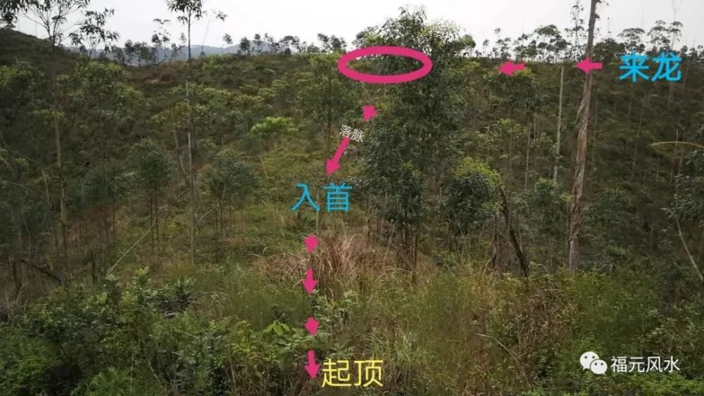 现场走近看很震撼,一石抵三山而山字形的造型也非常妙此乃富贵之石也