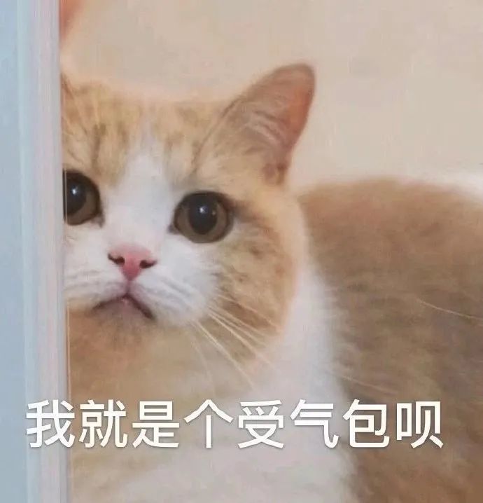 表情包:一组怂包专用的猫猫头