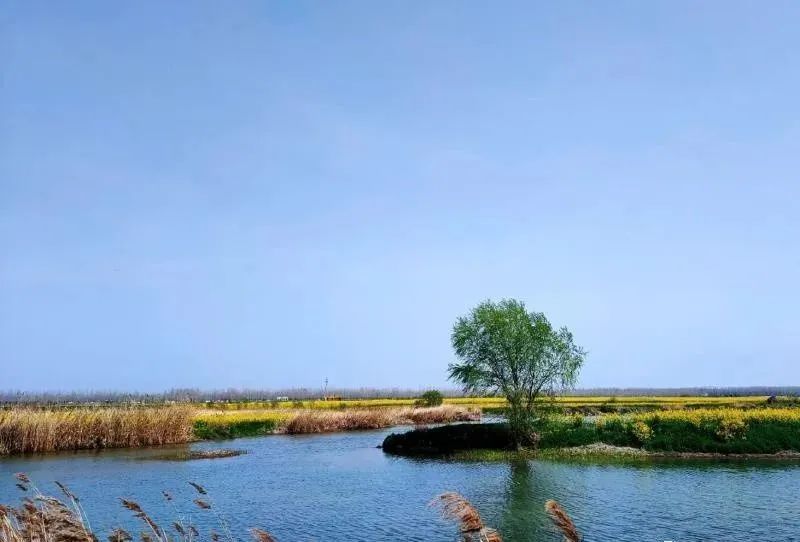 实拍!沭阳沂河淌成这样了