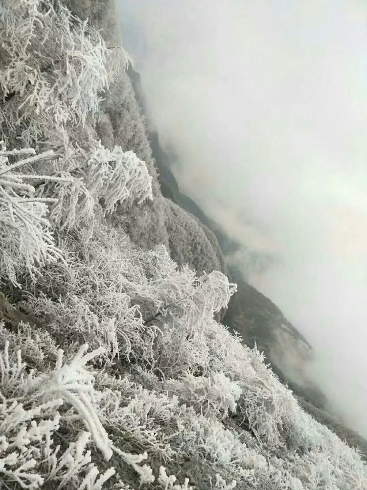 新化三月飞雪,大熊山秒变童话世界,鲜花冰雪美呆啦!