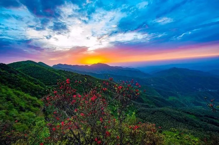 萍乡,体育公园,鹅湖村,黄岗村,仙峰,莲花县,芦溪县,白竺乡,安源区