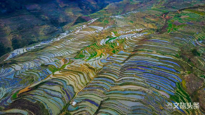 红河哈尼梯田,哈尼族,红河州,世界遗产,研学旅行,元阳县