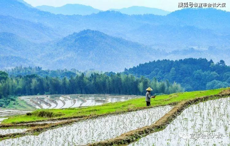宜丰县潭山镇石桥村牛头岭梯田,美景如画!壮哉!