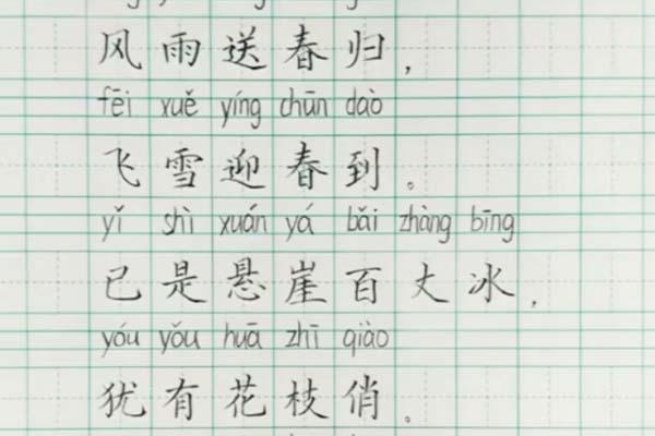 小学生日常练字,写出了书法