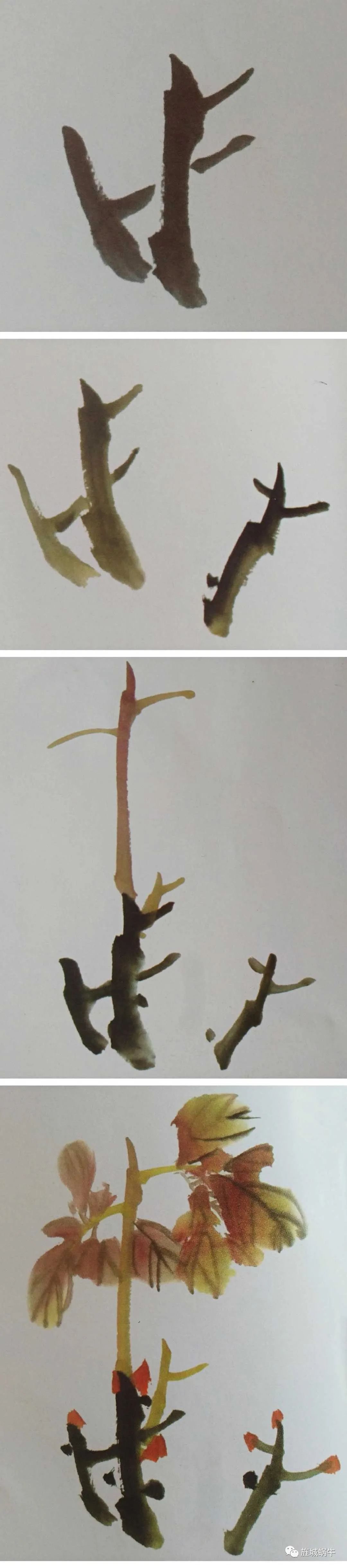 国画写意牡丹之骨—枝干的画法