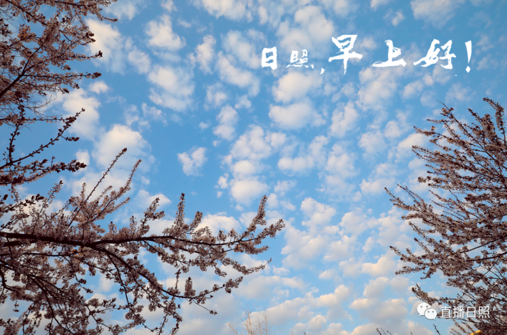 日照,早上好!