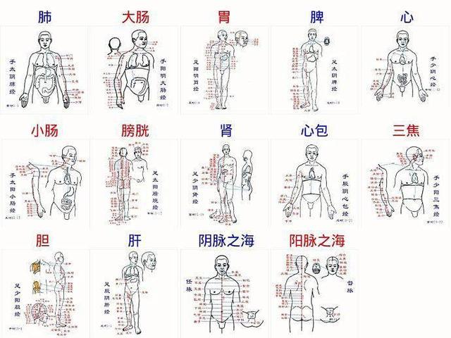 督脉关联身体的中心 要常保持使它健康