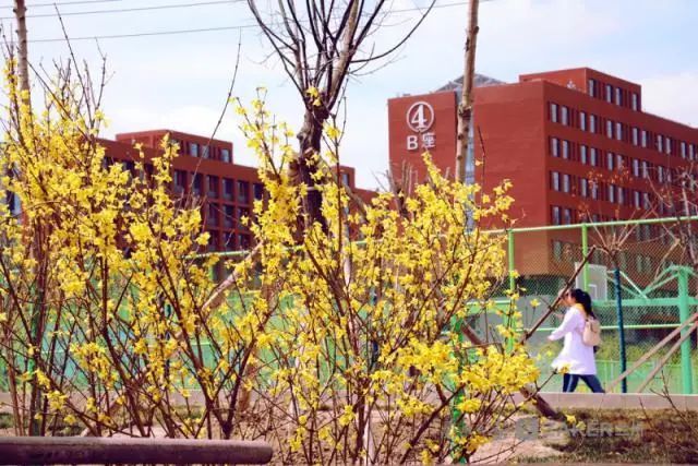 同盼当归,想你了甘肃中医药大学