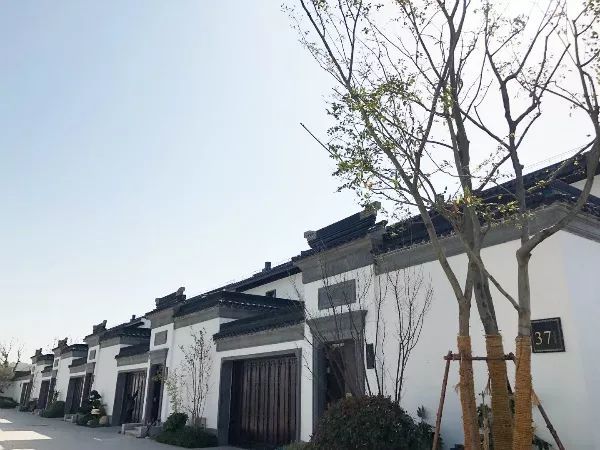 文旅,鄱阳县,建筑面积,建筑