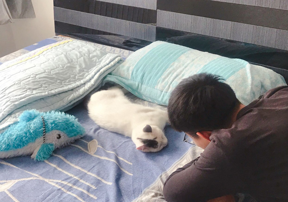 宅在家里和猫一起睡!猫的反应,哈哈哈太搞笑了