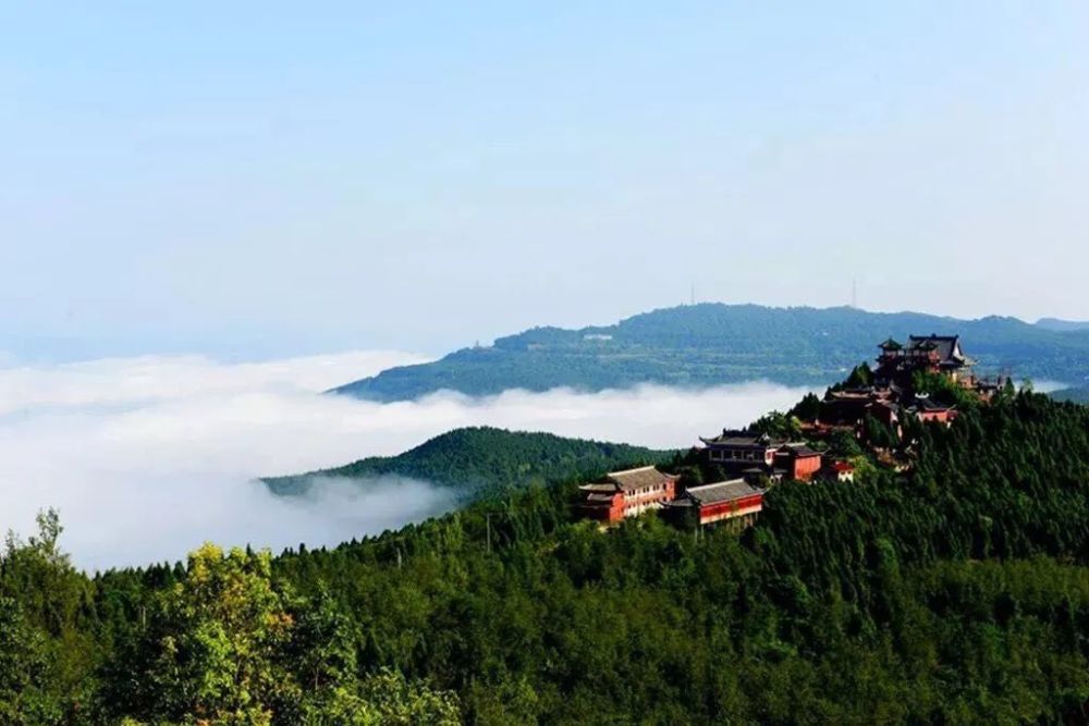 在绵阳市梓潼县七曲山风景区,两万多株千年古柏也不例外.