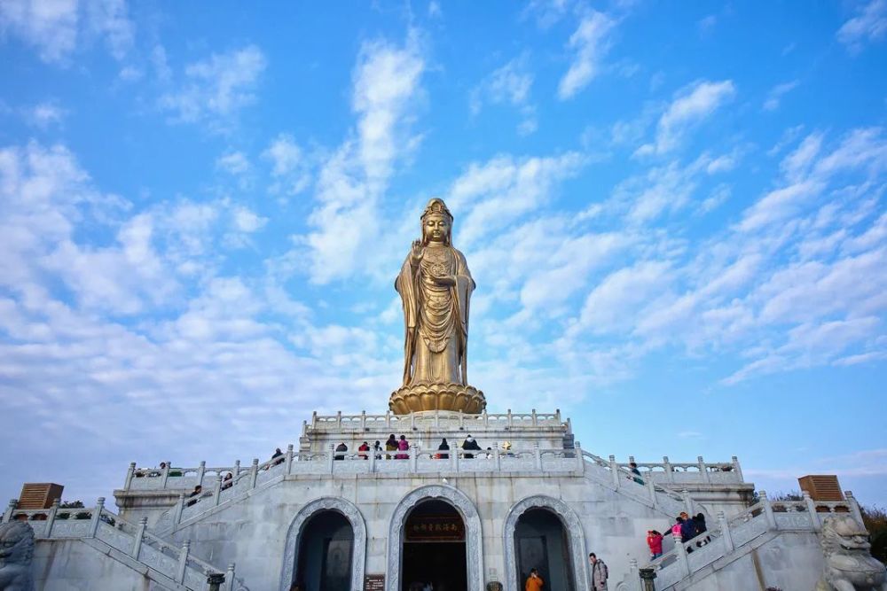 除了赏花,我还想去普陀山静心听禅