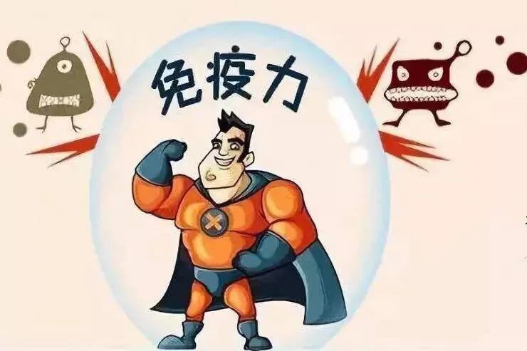 发酵食品是"提升免疫力的宝库?未必!