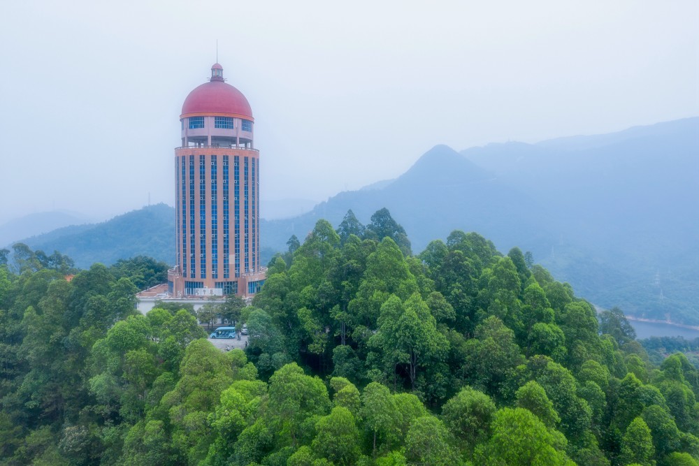 踏青,赏花,吟诗,品茗……汉服同袍走进东莞观音山共品