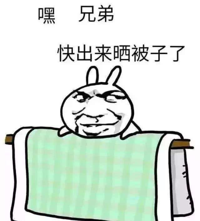 要我说呢,肯定是晒被子啊.