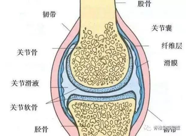 滑膜炎关节积液,一抽了之永绝后患吗?教你重塑疼痛的膝关节