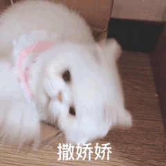 3.31表情包如何让男朋友不打游戏 把手打断