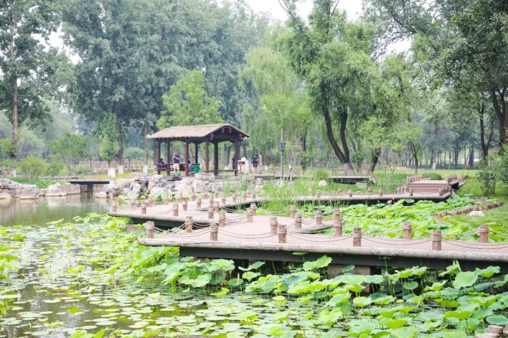 北京这8个郊野公园,人少景美,关键还免费!