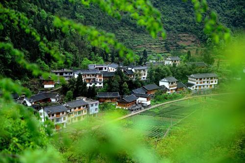 沙溪镇,龙瑞村,中山市,新建村,景墙