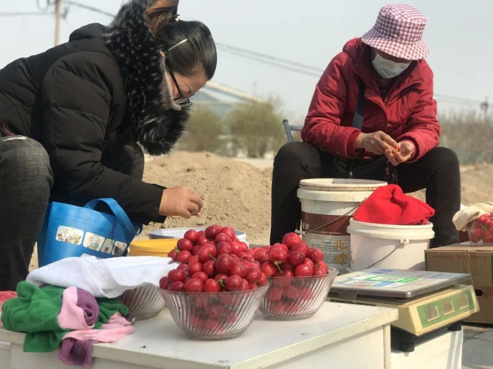 寿光这个村,老百姓的钱袋子咋"红彤彤"的?
