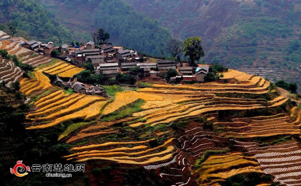 美丽的小山村 (马兴华摄于楚雄市西舍路镇保甸村)