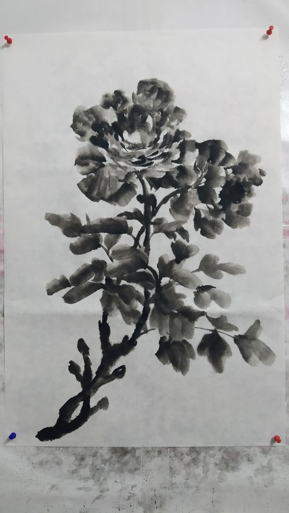 水墨牡丹,写意牡丹,牡丹画,国画,牡丹