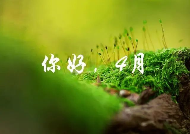 三月芳菲未尽,四月款款而来,莫负自己,莫负时光,加油!