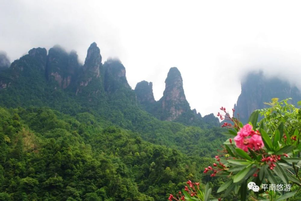 金秀瑶族自治县,金秀大瑶山,广西,圣堂山,景观大道,峡谷