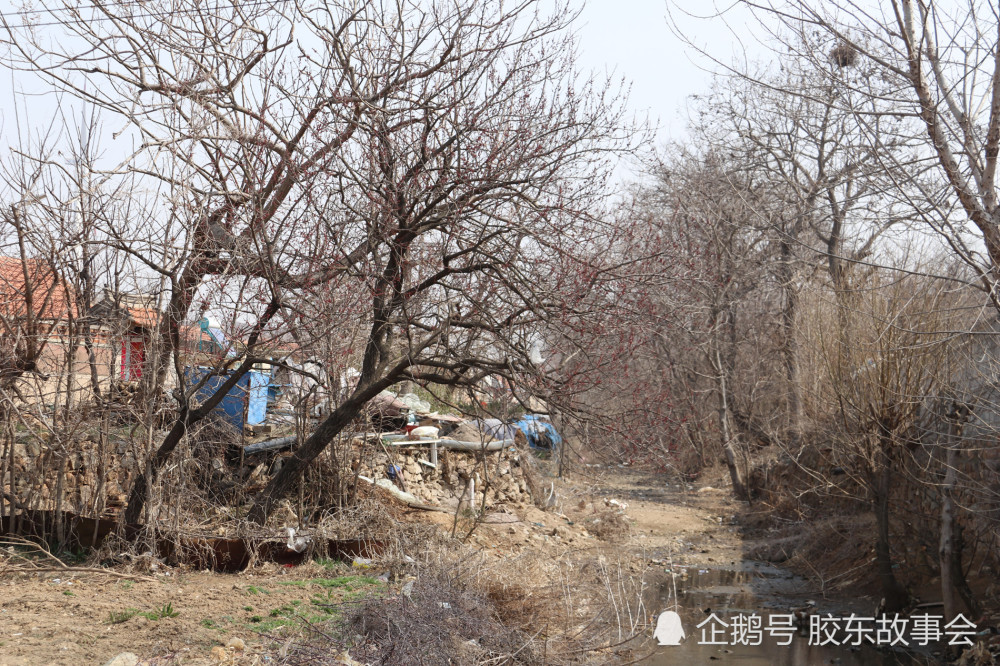 组图:有山有水就是"夼",走进海阳市小纪镇山水夼村