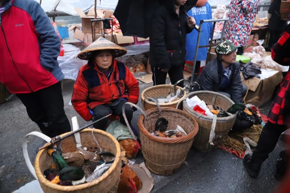 农村赶集,年场,解放岩乡,湖南农村,赶集