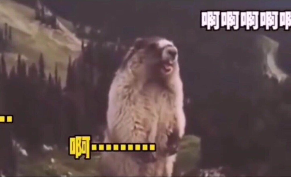 俄罗斯放老虎确保民众隔离?是真的吗?