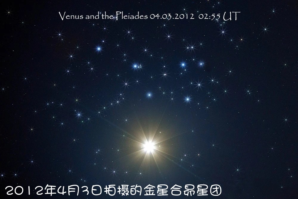 金星合昴,昴星团,金星,轨道共振,天文奇观