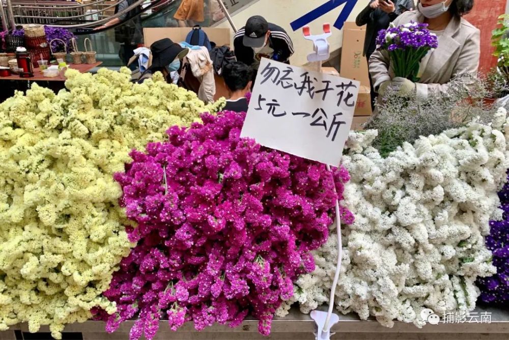 斗南花市,斗南,云南昆明