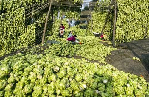 涪陵榨菜靠什么逆势上扬