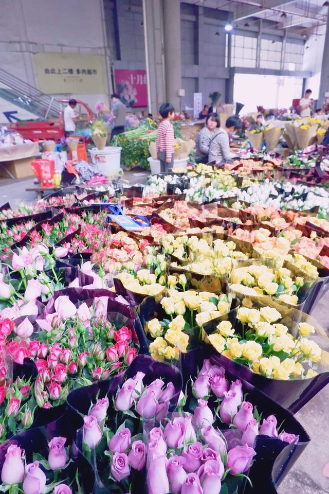 旅游,云南,昆明,斗南花市