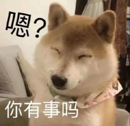 搞笑一组汪星人doge表情包,献媚讨好