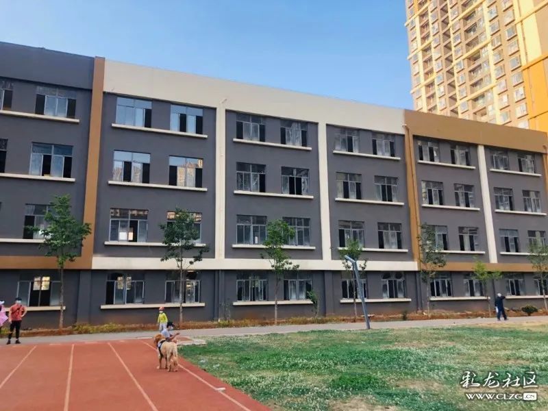 春城小学搬家啦 新校园长这样