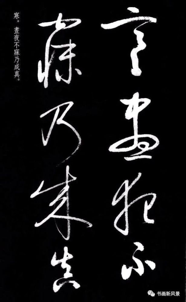 启功罕见草书,大美!