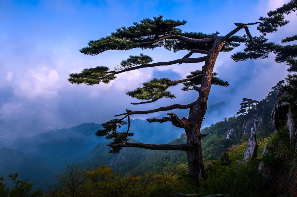 旅游景区,霍山县,佛子岭,大别山主峰,门票